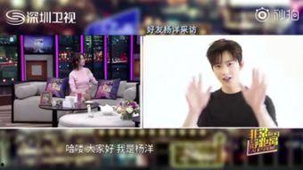 郑州爆料吃货视频最新,最新爆料吃货视频带你领略地道的郑州味蕾之旅