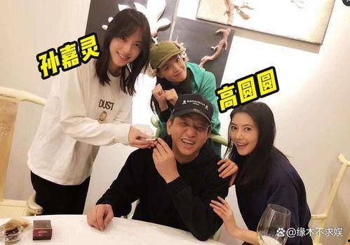 娱记狗仔爆料视频大全集,视频大全集幕后故事大公开